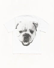 BIG DOG STONE WASHED TEE